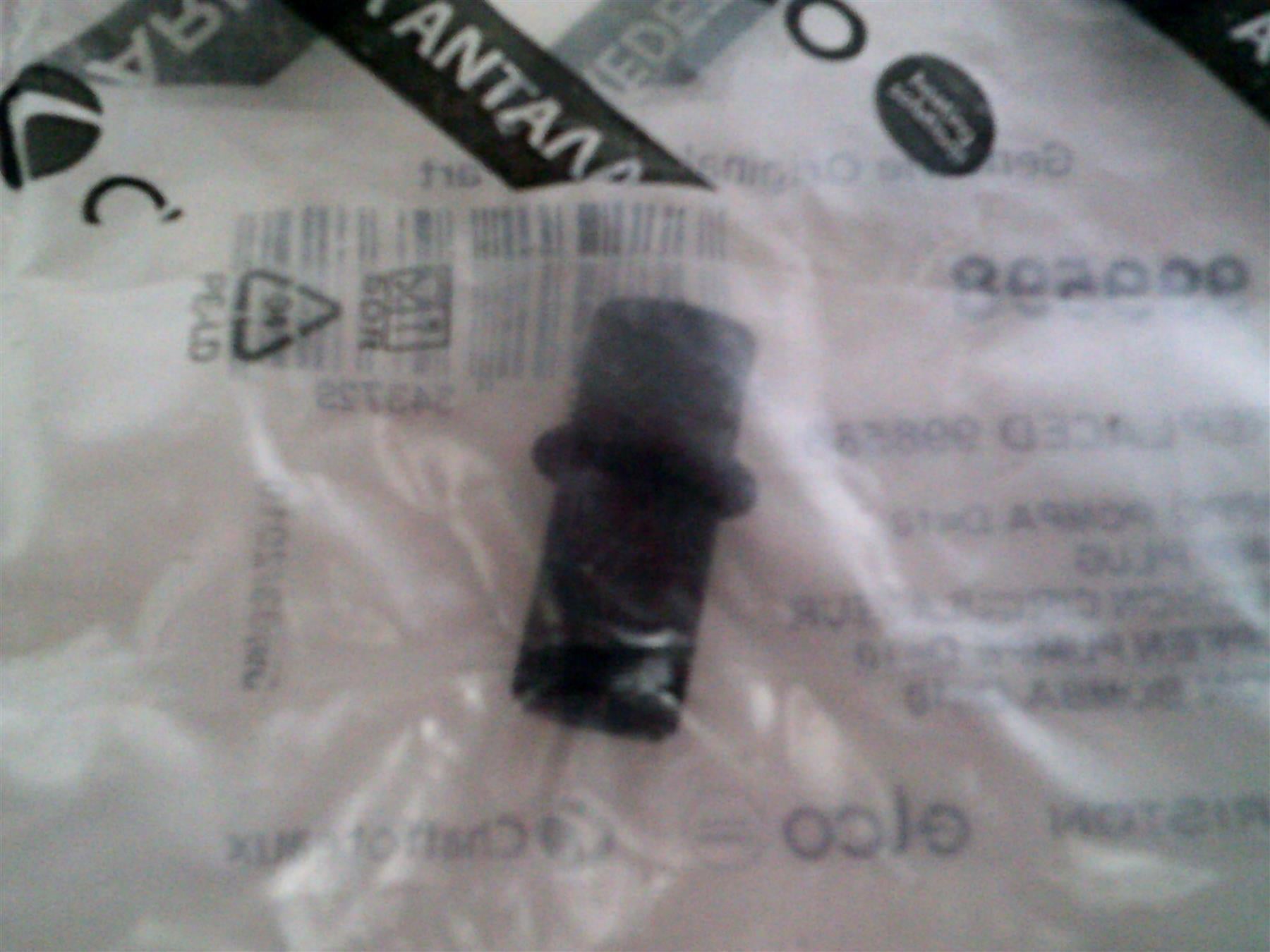 Ariston 999598 Pump Plug