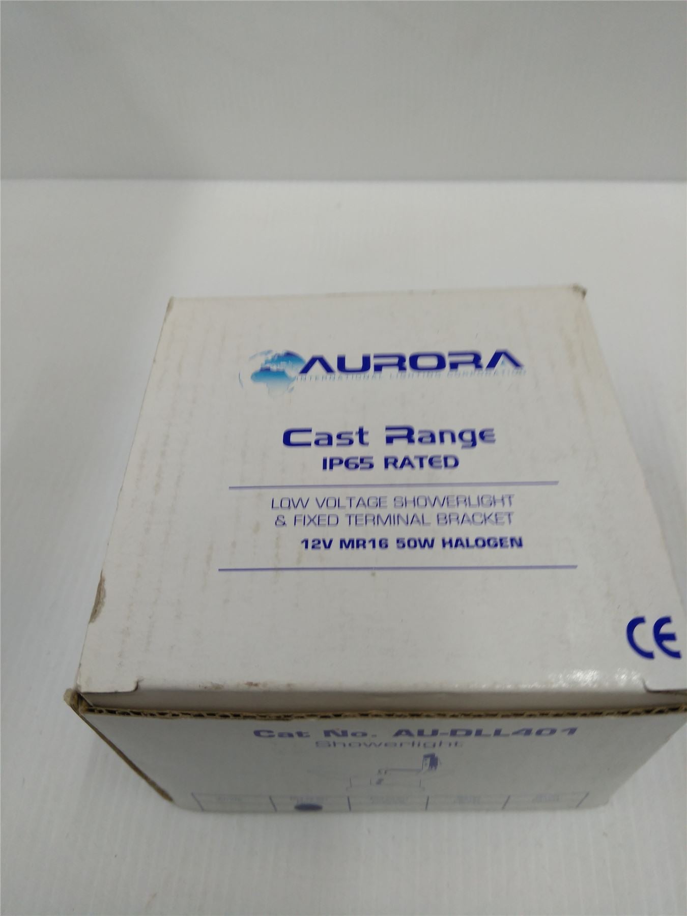 Aurora Low Voltage Showerlight and fixed terminal bracket (polished brass)