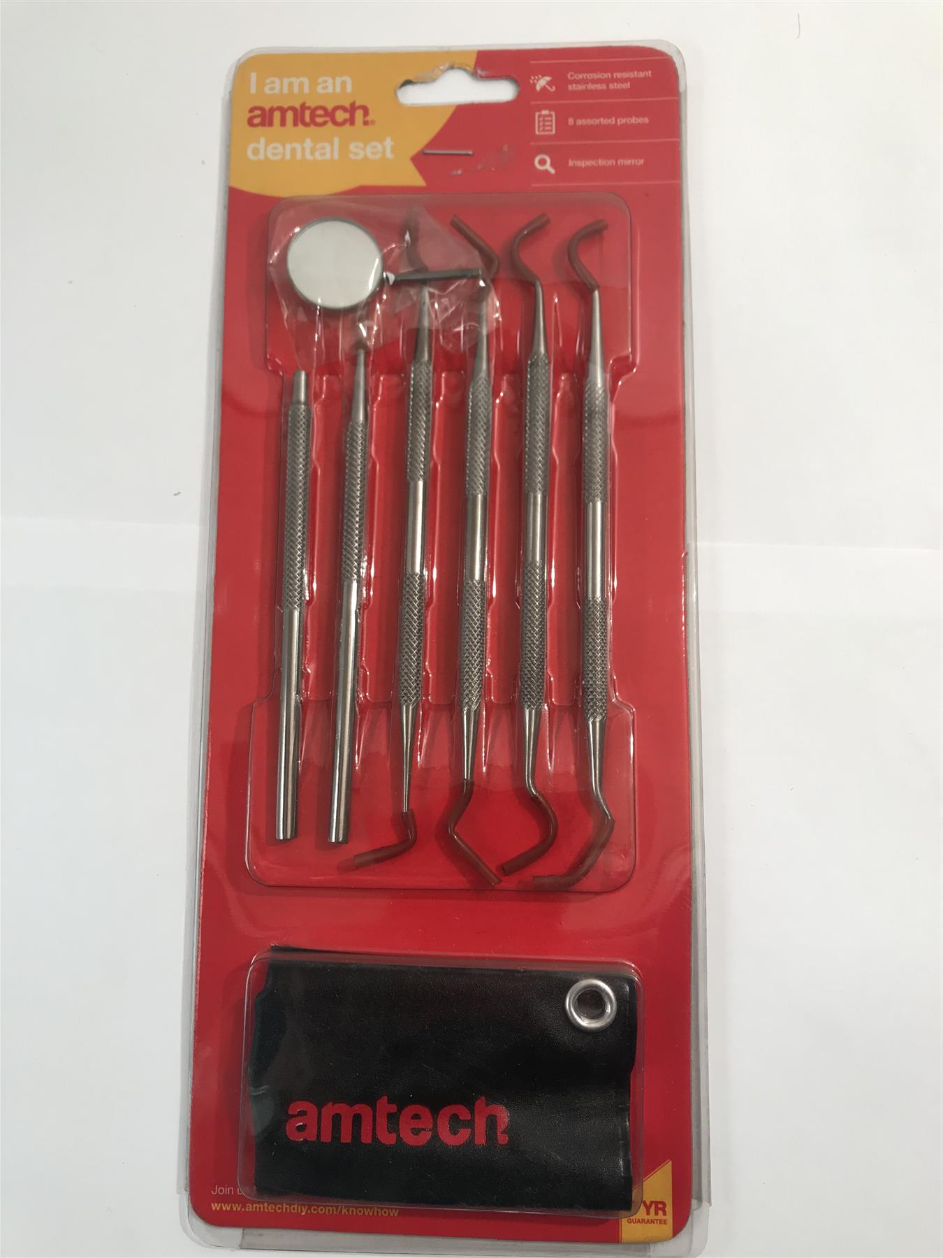 Amtech 6Pc Stainless Steel Dental Tool Dentist Set   R0350