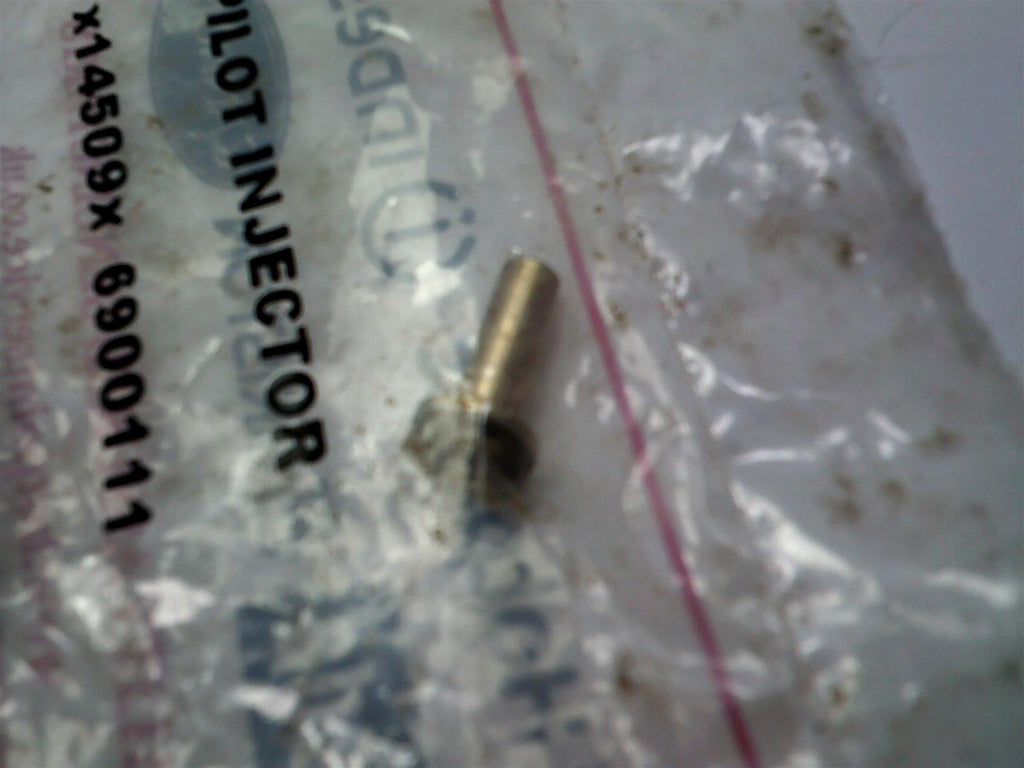 Coalridge Pilot Injector 6900111  C00244385