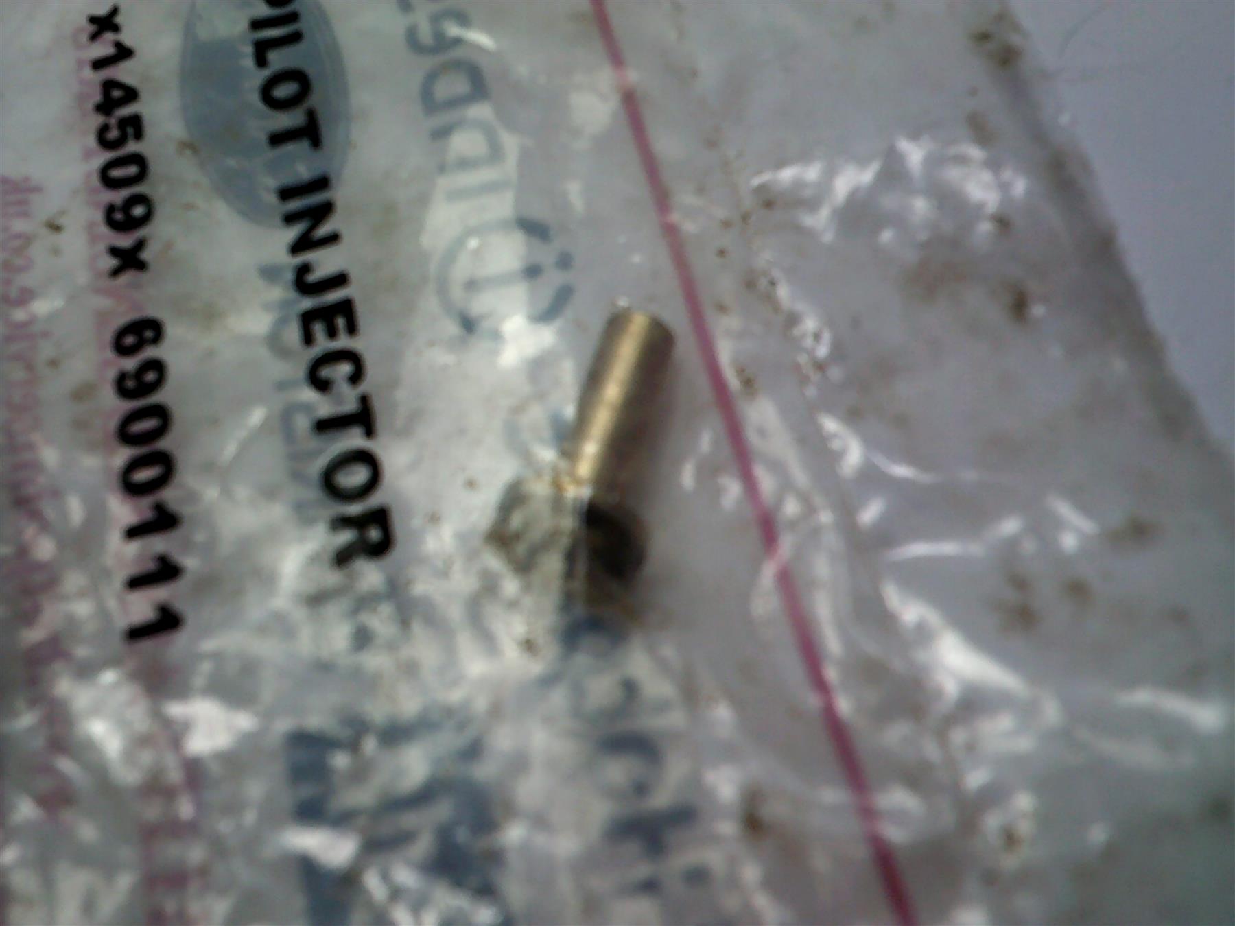Coalridge Pilot Injector 6900111  C00244385