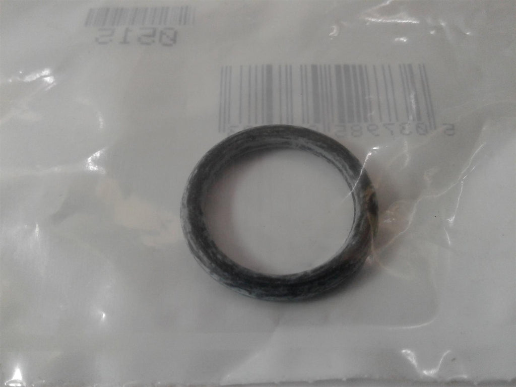 NEW GLOWWORM COMPACT ORING S208732