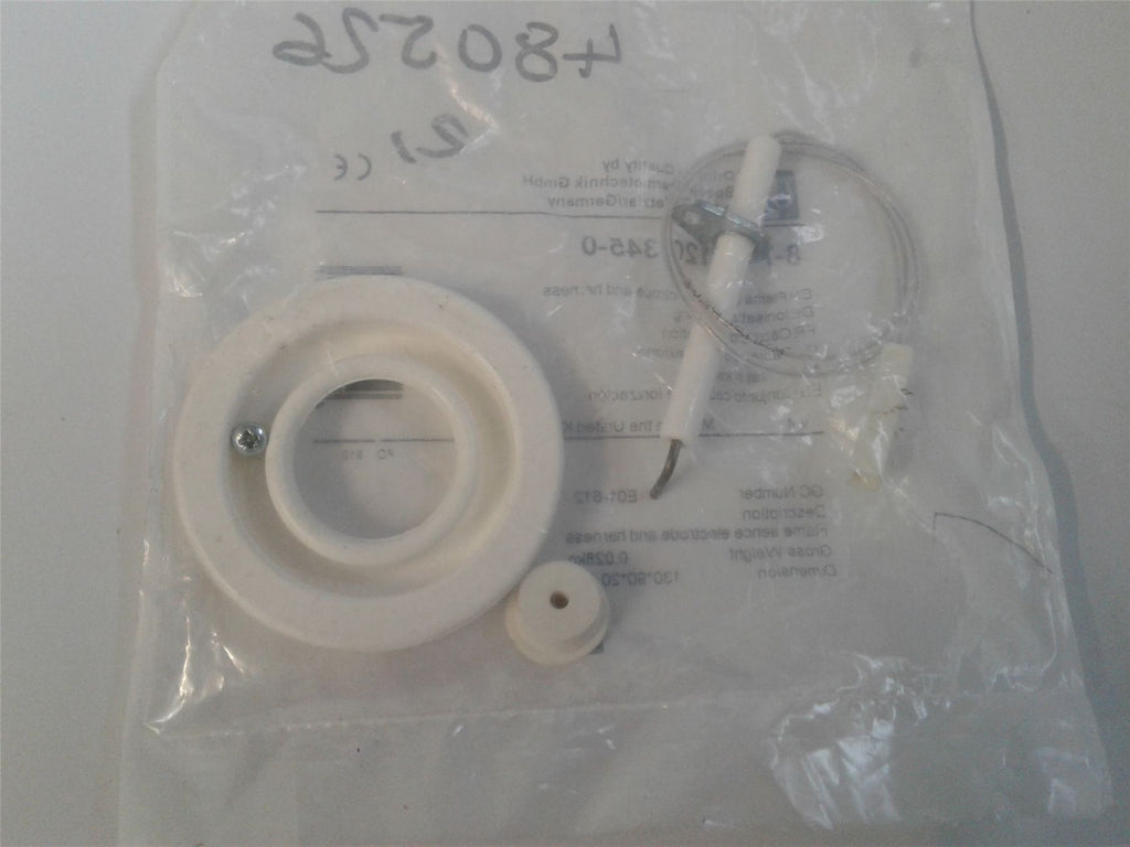 NEW WORCESTER 87161203450 FLAME SENSOR C/W HARNESS
