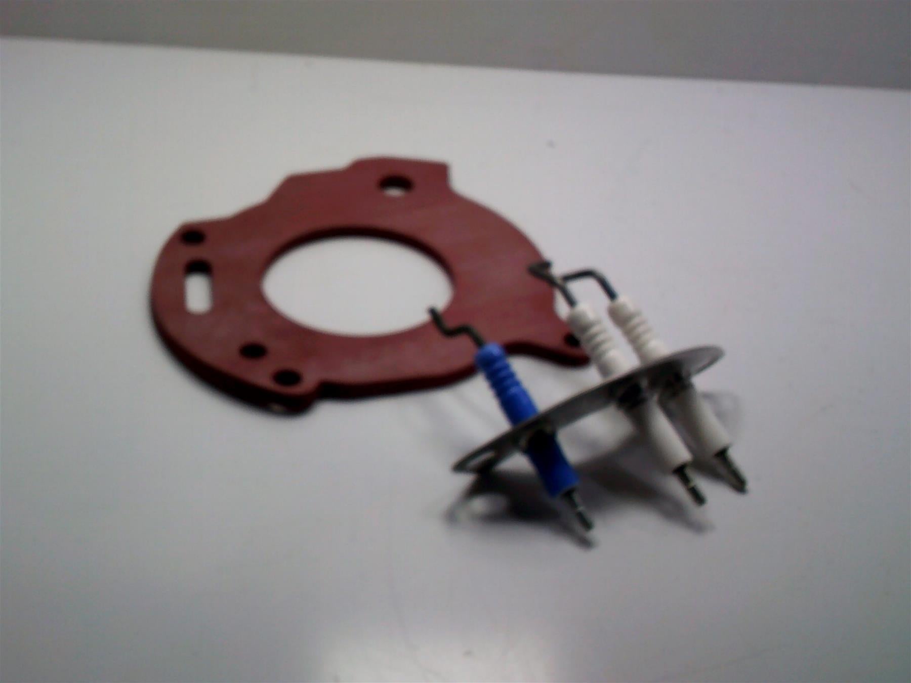 NEW Worcester Greenstar Electrode Set 87161163810 Genuine