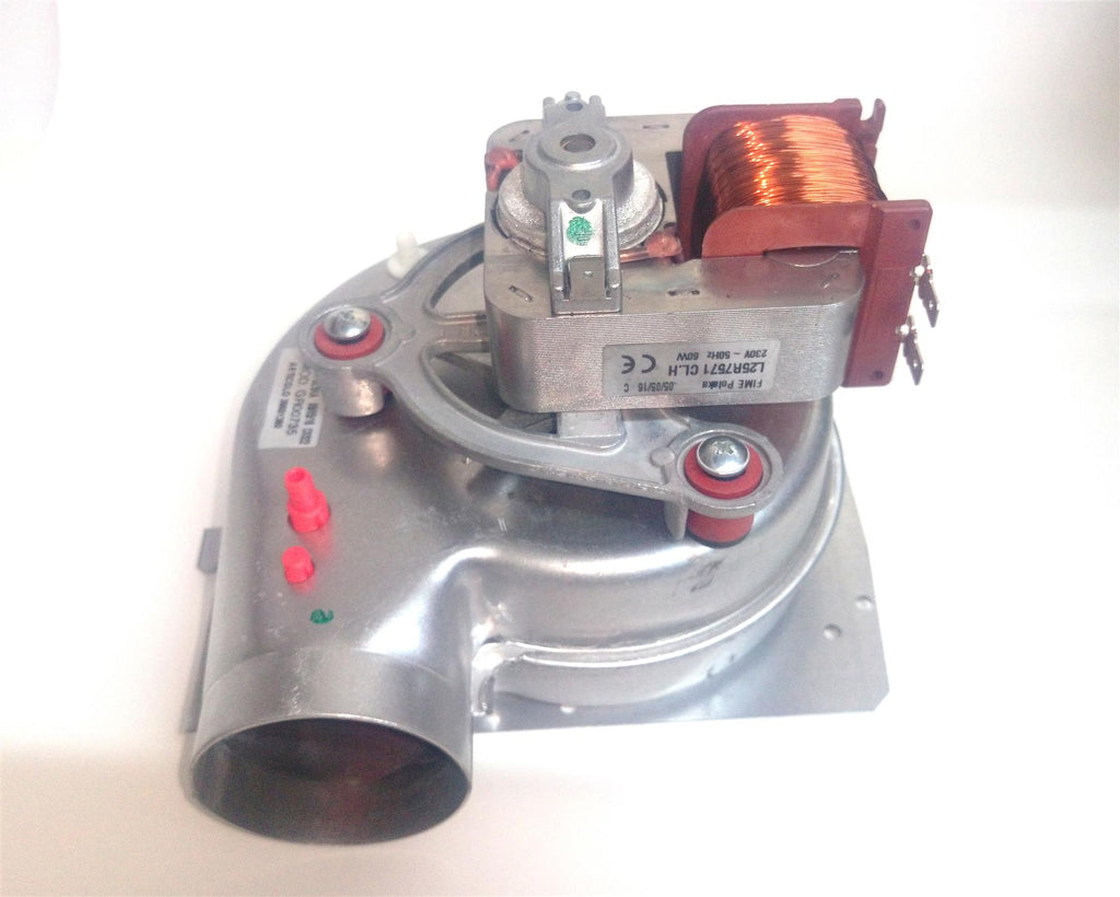 NEW FERROLI MODENA FALCON TEMPRA FAN GR00735 39805890