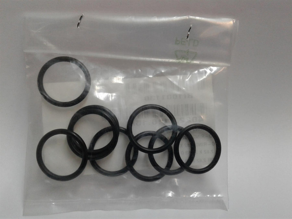 NEW Biasi 2.62X20.63mm O RING bi1001130 (EACH)
